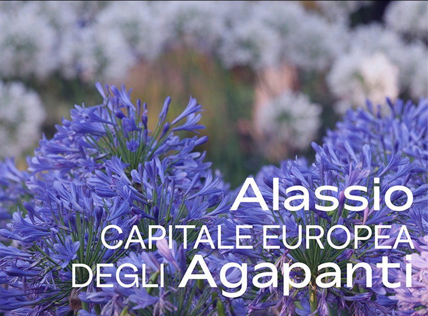 Alassio Capitale Europea degli Agapanti - I Giardini di Villa della Pergola