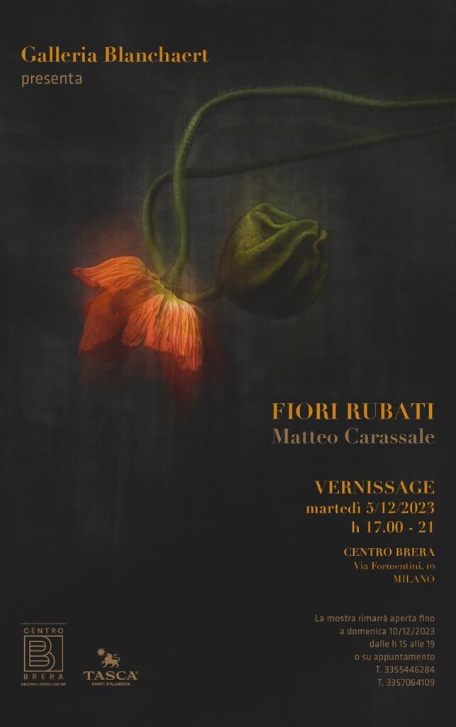 Fiori rubati Matteo Carassale